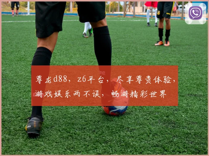 尊龙d88，z6平台，尽享尊贵体验，游戏娱乐两不误，畅游精彩世界