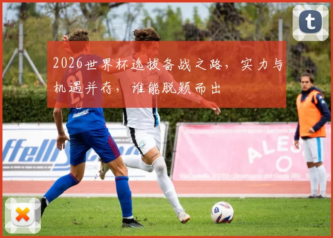2026世界杯选拔备战之路，实力与机遇并存，谁能脱颖而出