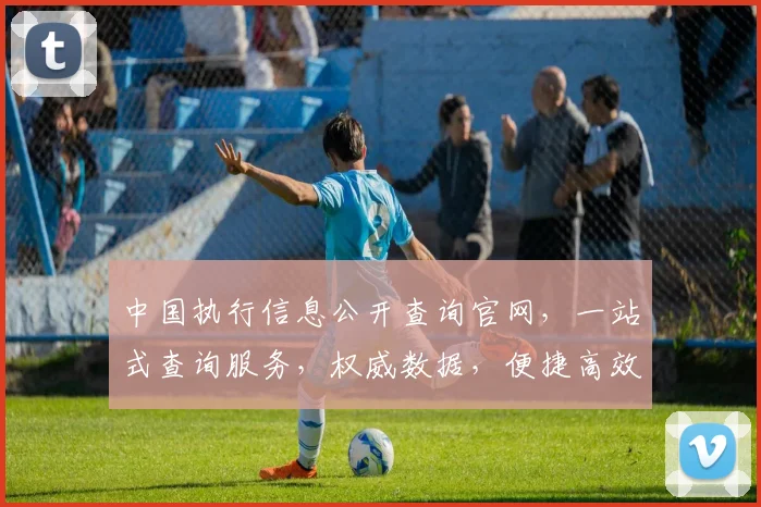 中国执行信息公开查询官网，一站式查询服务，权威数据，便捷高效，助力维权。
